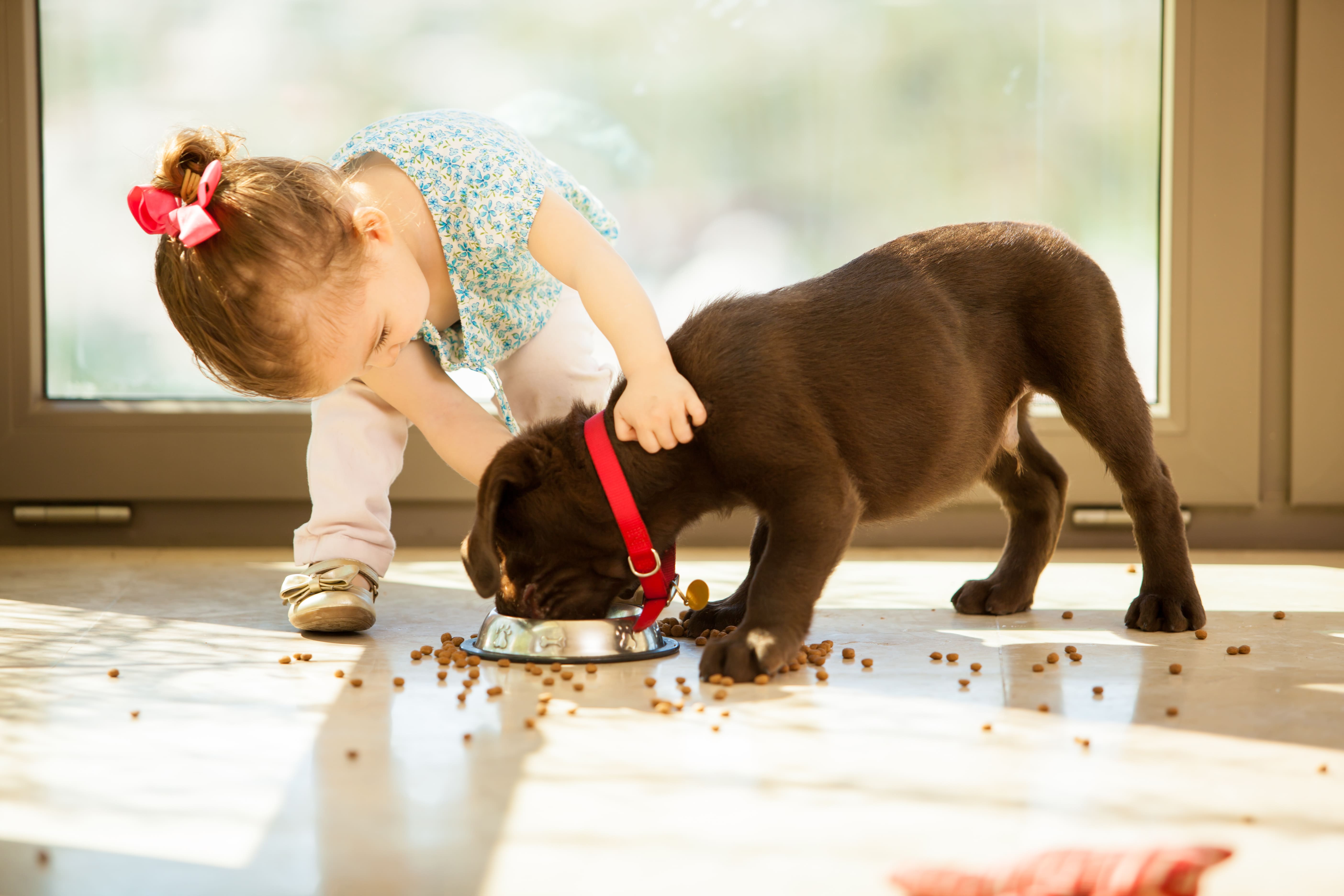 Headerbild gesundes Wohnen mit Keramik Kind mit Hund